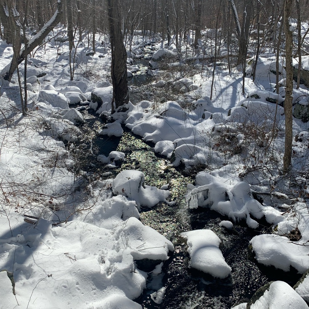 Meet your Posher, Dennis